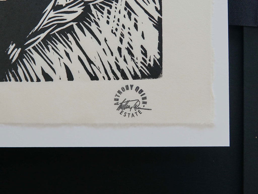 Anthony Quinn's Eye: Deluxe Limited Edition Book